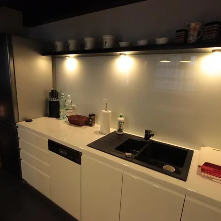 Apartment Loft Niezapominajka Lodz