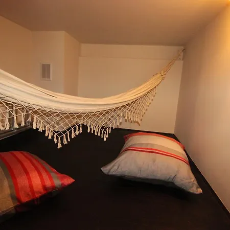 Loft Niezapominajka *